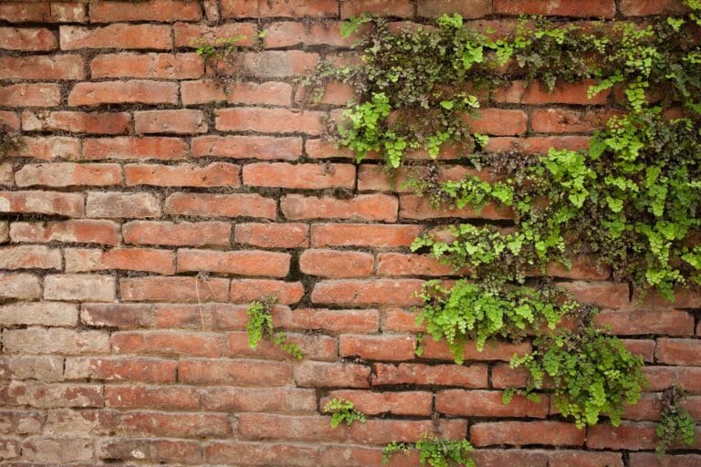 Brick Discoloration & Staining Solutions