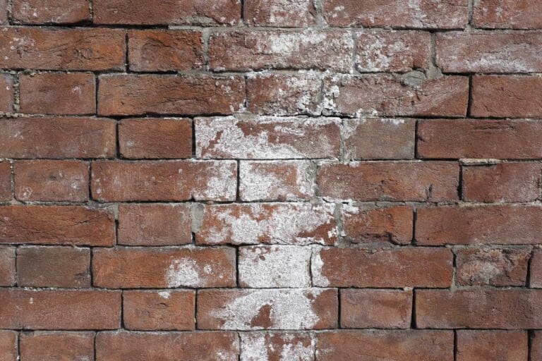 Water & Efflorescence Removal
